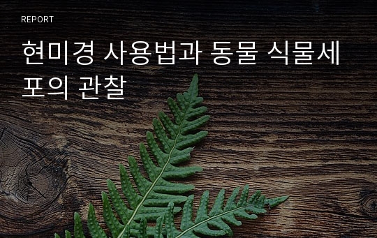 현미경 사용법과 동물 식물세포의 관찰