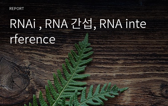 RNAi , RNA 간섭, RNA interference