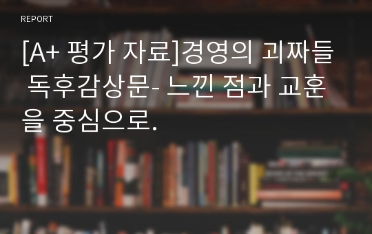 [A+ 평가 자료]경영의 괴짜들 독후감상문- 느낀 점과 교훈을 중심으로.