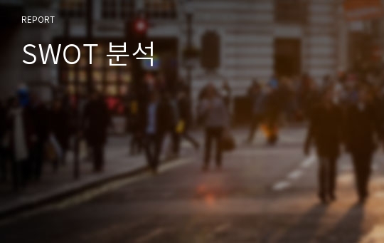 SWOT 분석