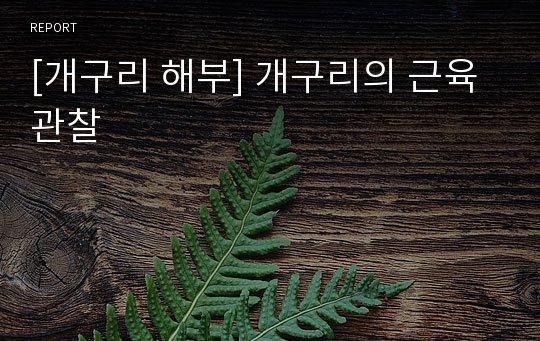 [개구리 해부] 개구리의 근육관찰