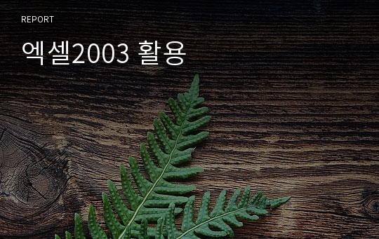 엑셀2003 활용