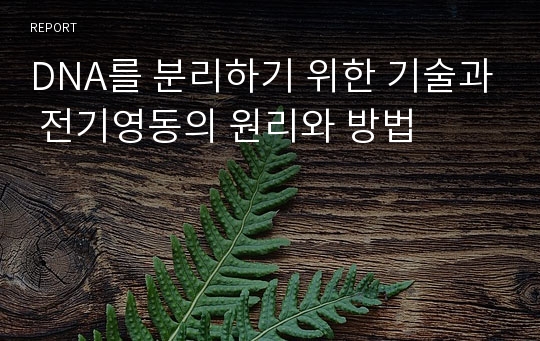 DNA를 분리하기 위한 기술과 전기영동의 원리와 방법