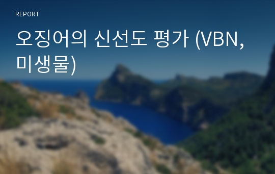 오징어의 신선도 평가 (VBN, 미생물)