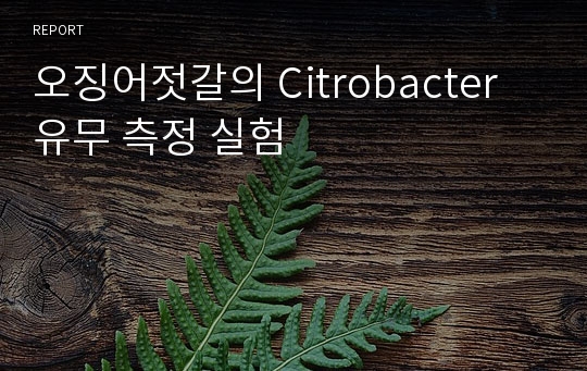 오징어젓갈의 Citrobacter 유무 측정 실험