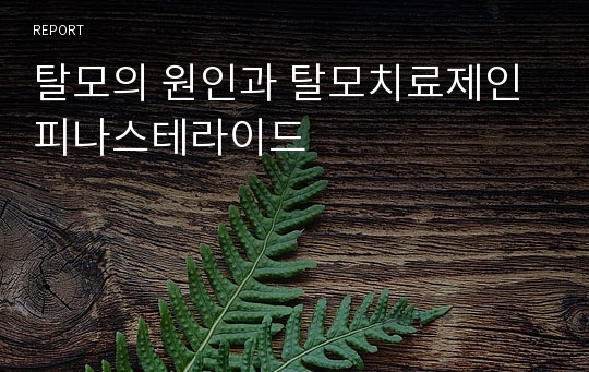 탈모의 원인과 탈모치료제인 피나스테라이드