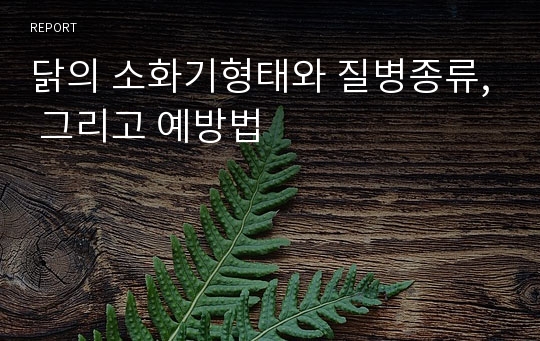 닭의 소화기형태와 질병종류, 그리고 예방법