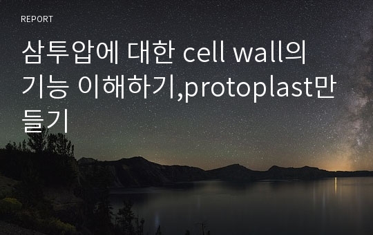 삼투압에 대한 cell wall의 기능 이해하기,protoplast만들기