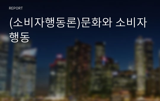 (소비자행동론)문화와 소비자행동