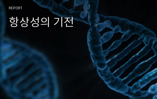 항상성의 기전