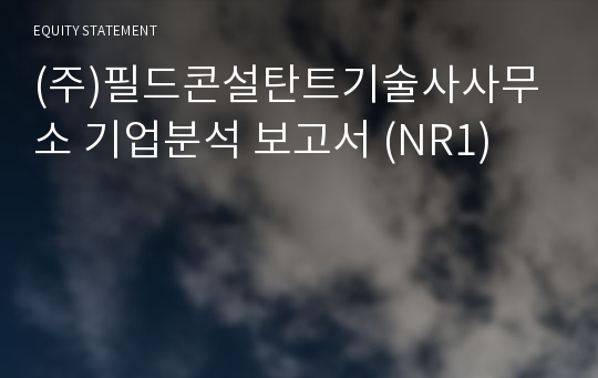 (주)필드콘설탄트기술사사무소 기업분석 보고서 (NR1)