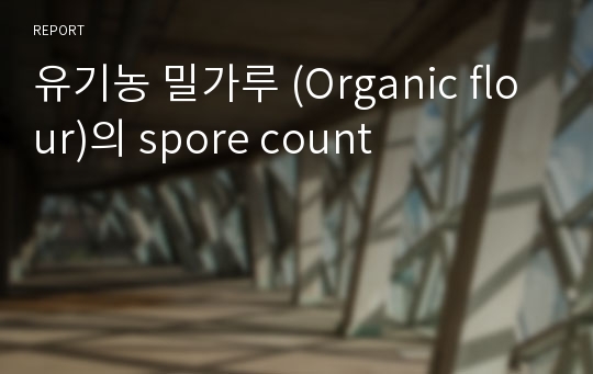 유기농 밀가루 (Organic flour)의 spore count