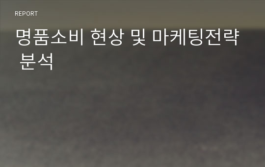 명품소비 현상 및 마케팅전략 분석