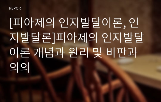 [피아제의 인지발달이론, 인지발달론]피아제의 인지발달이론 개념과 원리 및 비판과 의의