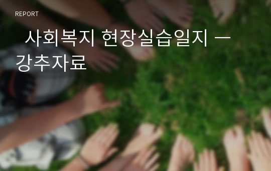   사회복지 현장실습일지 ㅡ 강추자료