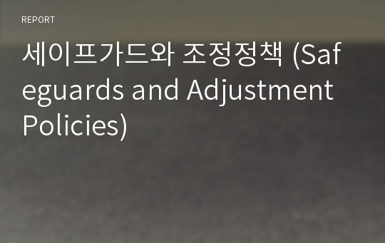 세이프가드와 조정정책 (Safeguards and Adjustment Policies)