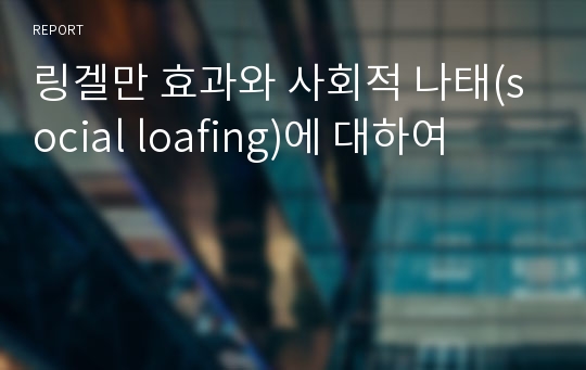 링겔만 효과와 사회적 나태(social loafing)에 대하여