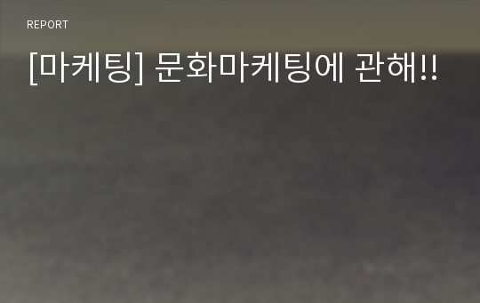 [마케팅] 문화마케팅에 관해!!