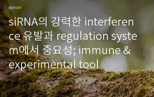 siRNA의 강력한 interference 유발과 regulation system에서 중요성; immune &amp; experimental tool