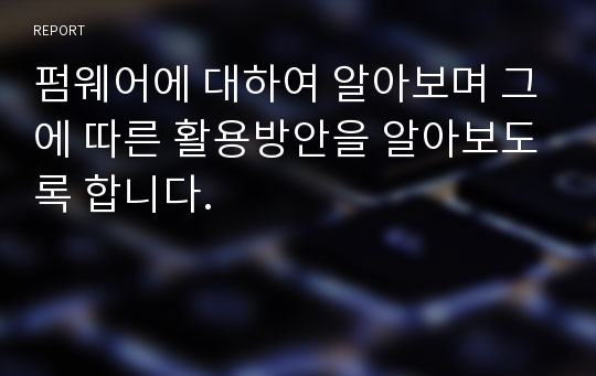 펌웨어에 대하여 알아보며 그에 따른 활용방안을 알아보도록 합니다.