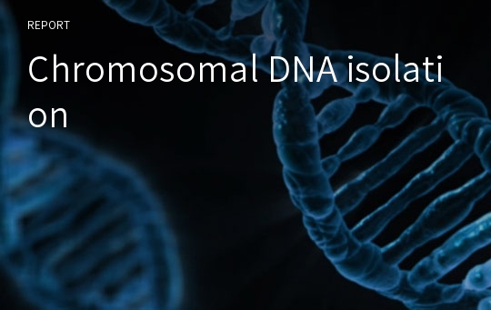 Chromosomal DNA isolation