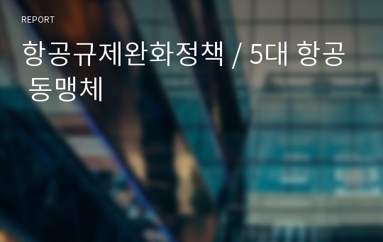 항공규제완화정책 / 5대 항공 동맹체