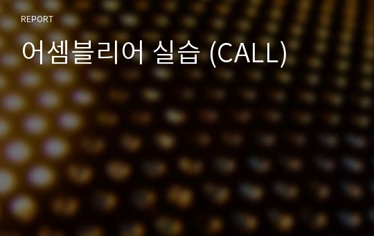 어셈블리어 실습 (CALL)