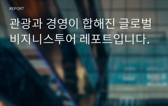 관광과 경영이 합해진 글로벌비지니스투어 레포트입니다.