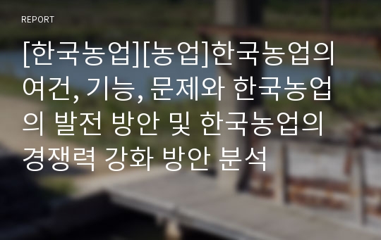 [한국농업][농업]한국농업의 여건, 기능, 문제와 한국농업의 발전 방안 및 한국농업의 경쟁력 강화 방안 분석