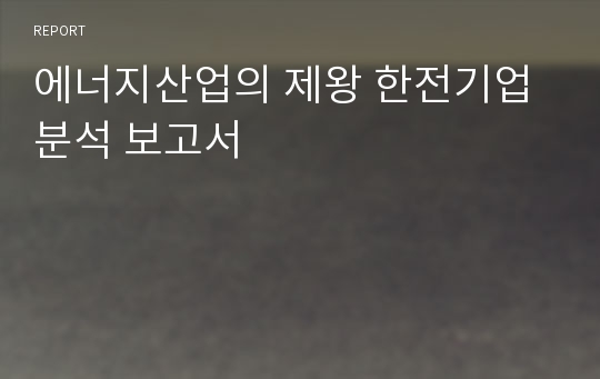 에너지산업의 제왕 한전기업 분석 보고서