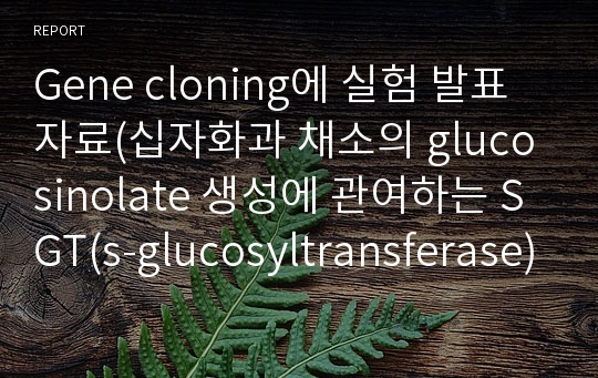 Gene cloning에 실험 발표자료(십자화과 채소의 glucosinolate 생성에 관여하는 SGT(s-glucosyltransferase) 의 양을 늘려 glucosinolate의 생산량이 isothiocyanate의 함량에 미치는 영향)