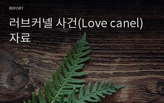 러브커넬 사건(Love canel) 자료