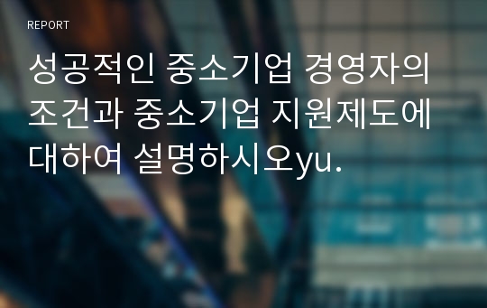 성공적인 중소기업 경영자의 조건과 중소기업 지원제도에 대하여 설명하시오yu.