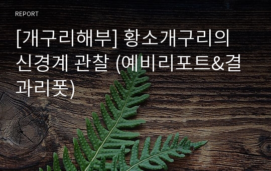 [개구리해부] 황소개구리의 신경계 관찰 (예비리포트&amp;결과리폿)