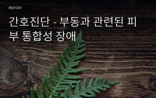 간호진단 - 부동과 관련된 피부 통합성 장애