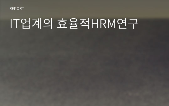 IT업계의 효율적HRM연구