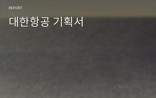 대한항공 기획서