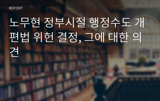 노무현 정부시절 행정수도 개편법 위헌 결정, 그에 대한 의견