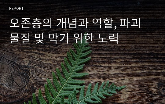 오존층의 개념과 역할, 파괴물질 및 막기 위한 노력