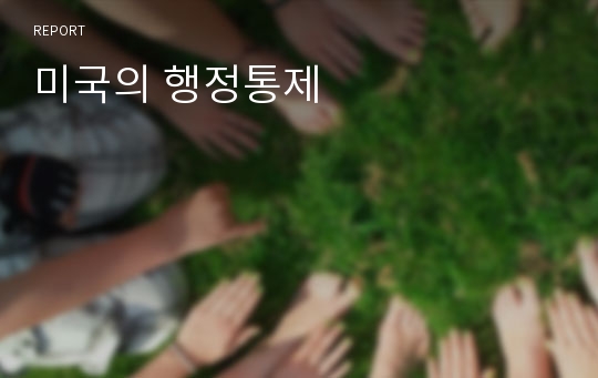 미국의 행정통제