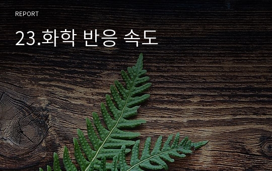 23.화학 반응 속도