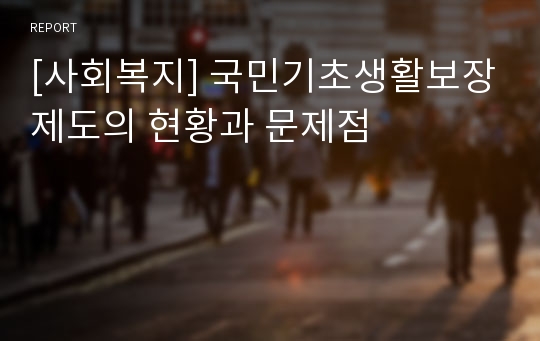 [사회복지] 국민기초생활보장제도의 현황과 문제점