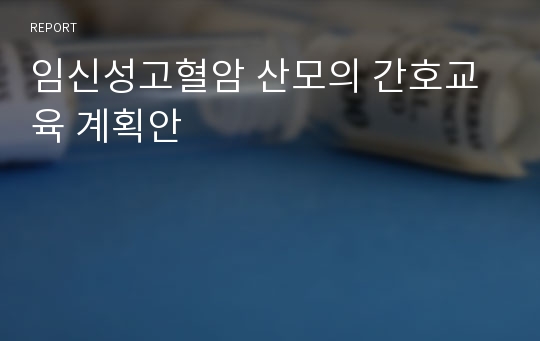 임신성고혈암 산모의 간호교육 계획안