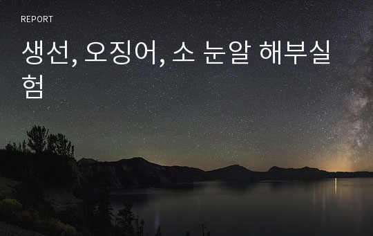 생선, 오징어, 소 눈알 해부실험