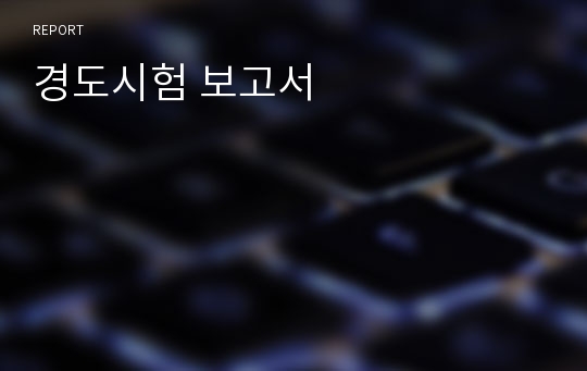 경도시험 보고서