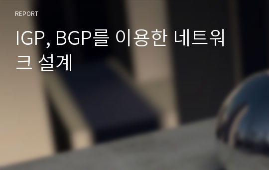 IGP, BGP를 이용한 네트워크 설계