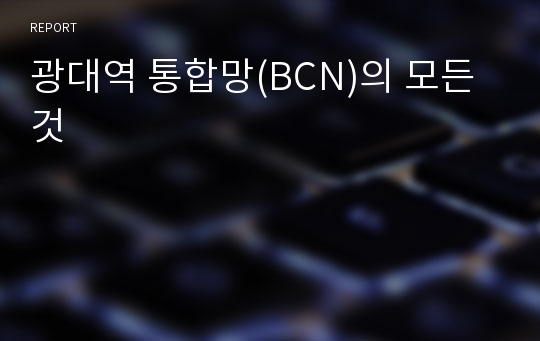 광대역 통합망(BCN)의 모든 것