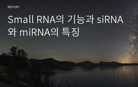 Small RNA의 기능과 siRNA와 miRNA의 특징