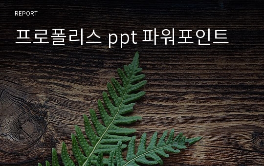 프로폴리스 ppt 파워포인트