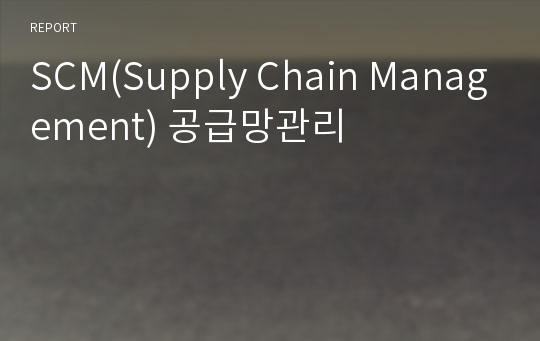 SCM(Supply Chain Management) 공급망관리